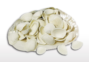 Gliemežvāki