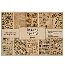Skrapbukinga kraft-papīra kolekcija ''Botany spring'', A3 (42x29.7cm), 100g/ m2, 10 vienpusējas loksnes