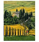 Komplekts gleznošanai pēc numuriem "Travel to Toscana", audekls uz apakšrāmja, 40х50cm
