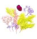 Dekoratīvie sausie ziedi, 5-10cm, violetie/ rozā