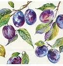 Salvetes dekupāžai "HOME GROWN PLUMS cream", 33x33cm, 2 gab.