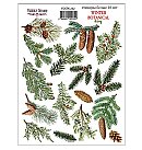 Uzlīmju komplekts uz balta fona "Winter Botanical Diary" #232, 16 gab., loksnes izmērs 21x16 cm, ZS
