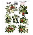 Uzlīmju komplekts uz balta fona "Winter Botanical Diary" #234, 7 gab., loksnes izmērs 21x16 cm, ZS
