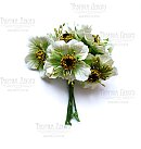 Dekoratīvie papīra ziedi "Poppies", D:4.5cm, 6gab., balts ar zaļu
