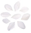 Dekoratīvās spalvas plūmes formā, 5-6cm, 36 gab., baltas