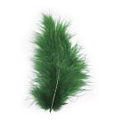 Dekoratīvās spalvas, 8cm, 10gab., tumši zaļas