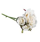 Rožu zariņš, garums 15 cm, izplaukušā zieda D:8-9 cm, 3 ziedi, balta