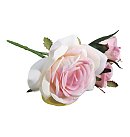 Rožu zariņš, garums 15 cm, izplaukušā zieda D:8-9 cm, 3 ziedi, gaiši rozā