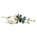 Rozes zariņš ar eikaliptu, garums 28 cm, D:9 cm, balta