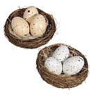 Dekors "Putna ligzda ar 3 olām", D:6.5cm, PVC kastītē 2 gab., dažādas krāsas