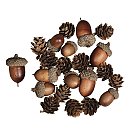 Ozolzīļu un čiekuru maisījums, asorti 2-4cm, 27gab.