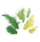 Dekoratīvo spalvu komplekts, 3-10cm, 10g, zaļie toņi