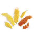 Dekoratīvo spalvu komplekts, 3-10cm, 10g, dzelteni oranžie toņi