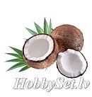 SAPOLINA aromātiskā eļļa ziepju izgatavošanai, 10ml, kokosriekstu piena aromāts