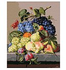 Komplekts gleznošanai pēc numuriem "Velvet still life ©Amalie Kärcher", audekls uz apakšrāmja, 40х50cm