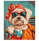 Komplekts gleznošanai pēc numuriem "Stylish shih tzu", audekls uz apakšrāmja, 40х50cm