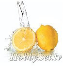 SAPOLINA aromātiskā eļļa ziepju izgatavošanai, 10ml, citrusaugļu aromāts