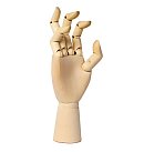 Деревянный манекен "Правая рука", 24x7 см