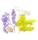 Dekoratīvie sausie ziedi, 5-10cm, violetie/ baltie