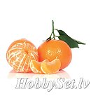 SAPOLINA aromātiskā eļļa ziepju izgatavošanai, 10ml, mandarīnu aromāts