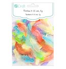Decorative feather, 5-10cm, 5g, pastel