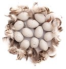 Plastmasas paipalu olas un spalvas, 4 cm, 12gab., bēšas