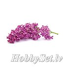 SAPOLINA aromātiskā eļļa ziepju izgatavošanai, 10ml, ceriņu aromāts