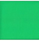 Foamirāna loksne (putugumija) "FOMM SOFT", 0.7mm, 60x40cm, zāles zaļa (Verde Prato)