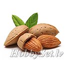 SAPOLINA aromātiskā eļļa ziepju izgatavošanai, 10ml, mandeļu aromāts