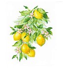 Izšūšanas komplekts krustdūrienā "Lemons", 30x40cm