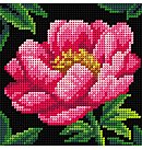 Kanva ar zīmējumu izšūšanai krustdūrienā, 100% kokvilna, "Rose", 15x15 cm