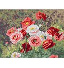 Kanva ar zīmējumu izšūšanai krustdūrienā, 100% kokvilna, "Poppy meadow", 30x40 cm