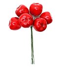 Dekoratīvie āboli uz stieples, D: 24 mm, red, 6 gab. buntē