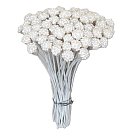 Dekoratīvās auglenīcas, D: 5-6 mm, pearl-white, 72 gab.