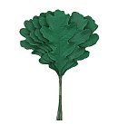 Ozola papīra lapiņas, 38x70 mm, dk.green, 12 lapas buntē