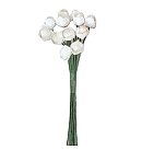 Dekoratīvie papīra ziedi "Paper Rosebud mini", D: 9 mm, white, 12 ziedi buntē