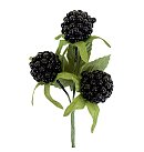 Mākslīgās ogas "Kazenes", D: 16 mm, black, 3 ogas ar lapiņām
