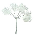 Rožu lapiņas mežģīņu, 20x30 mm, white, 12 lapas buntē