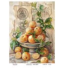 Dekupāžas papīrs Nr.0671, 55g/ m2, 21x29,7 cm