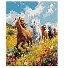 Komplekts gleznošanai pēc numuriem, "Harmony in the field", audekls uz apakšrāmja, 40х50cm