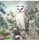 Salvetes dekupāžai, 33x33 cm, 2 gb, "Snowy owl", ZS