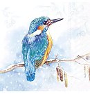 Salvetes dekupāžai, 33x33 cm, 2 gb, "The Kingfisher light blue"