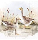 Salvetes dekupāžai, 33x33 cm, 2 gb, "Wild Geese"