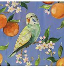 Salvetes dekupāžai, 33x33 cm, 2 gb, "Perruche et Oranges"