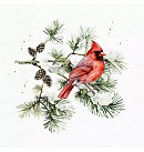 Salvetes dekupāžai, 33x33 cm, 2 gb, "Cardinal Bird on Fir Branch", ZS