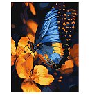 Komplekts gleznošanai pēc numuriem, "Flickering wings", audekls uz apakšrāmja, 30х40cm