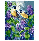 Komplekts gleznošanai pēc numuriem "Spring duet", audekls uz apakšrāmja, 30х40cm