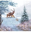 Salvetes dekupāžai, 33x33 cm, 2 gb, "Deer Family", ZS