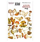 Uzlīmju komplekts "Autumn botanical diary" Nr.142