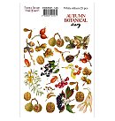 Uzlīmju komplekts "Autumn botanical diary" Nr.143